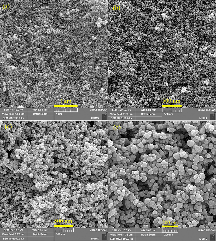 The FESEM micrographs of (a and b) pure ZnO NPs and (c and d) ZnO-Ag@CME NPs.