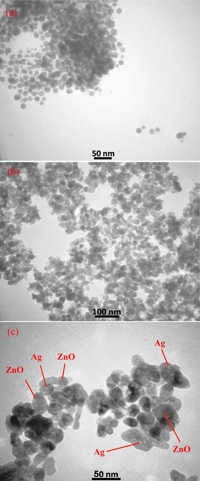 Transmission electron microscopy (TEM) images of (a) pure ZnO NPs and (b and c) synthesized ZnO-Ag NPs in presence of C. monogyna extract at different magnification scales.