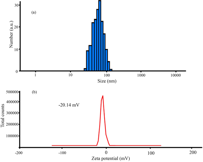 DLS (a) and zeta potential (b) measurement of ZnO-Ag@CME NPs.
