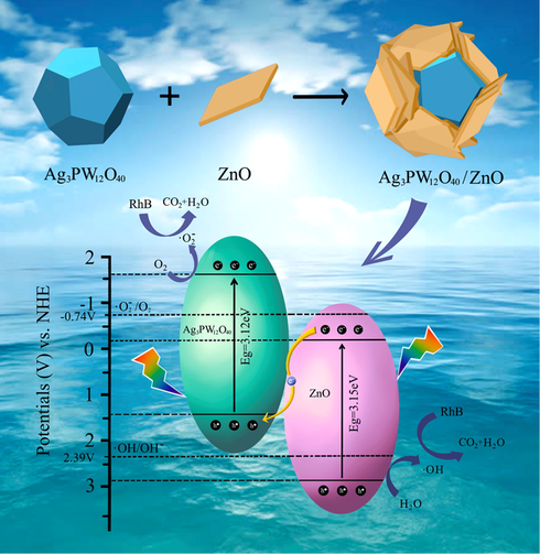 Schematic for the construction and photocatalytic performance of the Ag3PW12O40/ZnO nanoheterojunction.