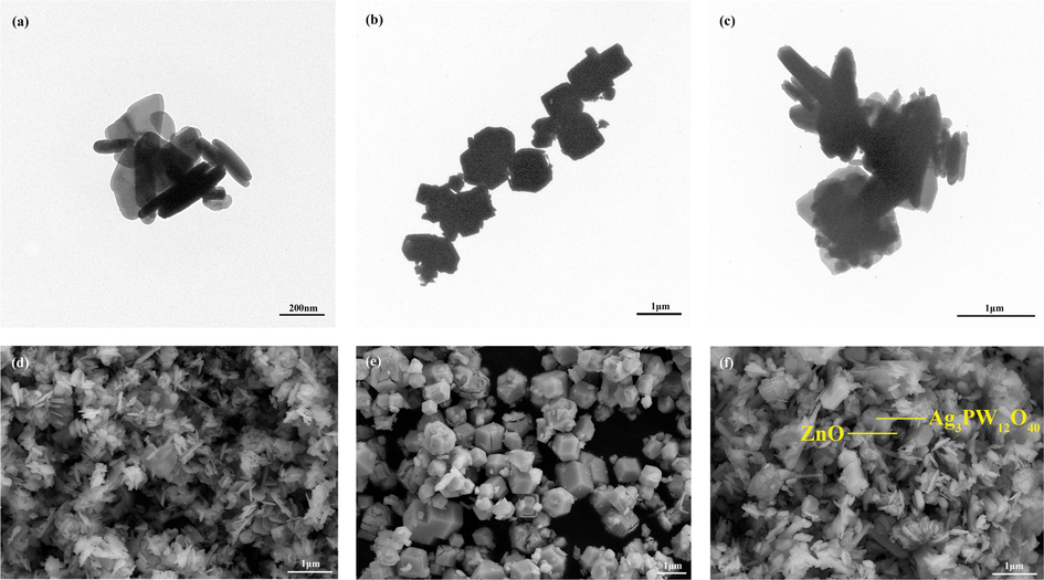 TEM images of (a) ZnO, (b) Ag3PW12O40, and (c) Ag3PW12O40/ZnO; SEM images of (d) ZnO, (e) Ag3PW12O40, and (f) Ag3PW12O40/ZnO.