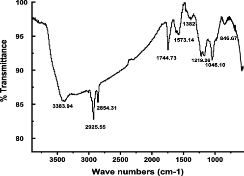 FTIR spectra of the prepared graphene oxide (GO).