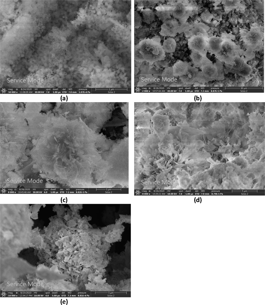 SEM images of: (a) CeW0.5, (b) CeW1.0, (c) CeW1.5, (d) CeW2.0 and (e) CeW2.5 catalysts calcined at 550 °C.