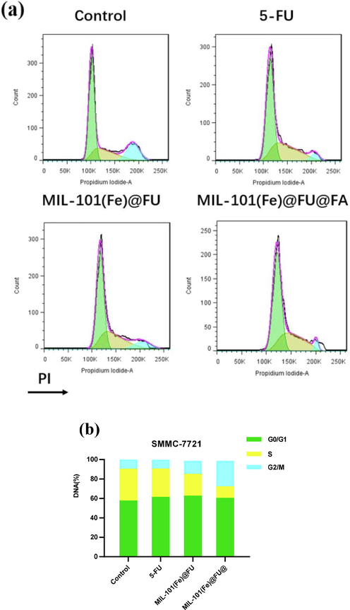 (a) Cell cycle analysis of SMMC-7721cells after treatment with formulation. (b) A bar graph represents the percentage in different phases of cell cycle after treatment with formulation.