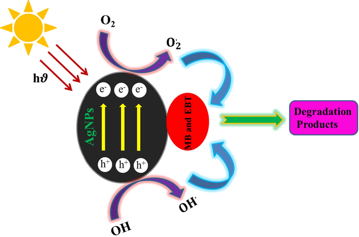 Mechanism of photocatalytic degradation of organic dyes by SPE-AgNPs.
