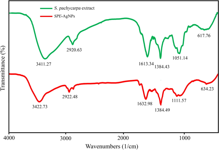 FT-IR spectrum of the S. pachycarpa extract and SPE-AgNPs (40 mM, 60 min and 85 °C).