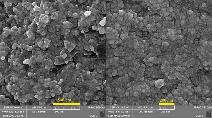 FESEM images of the biosynthesized AgNPs using S. pachycarpa extract (40 mM, 60 min and 85 °C).