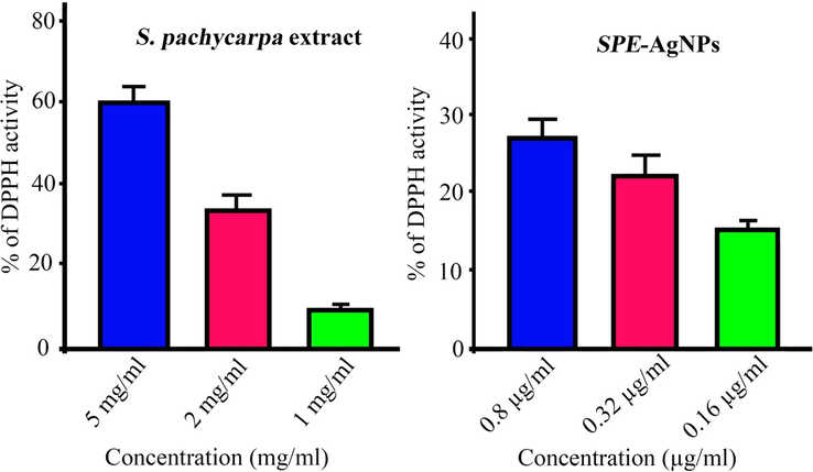 DPPH inhibition percentage at different concentrations of SPE-AgNPs.