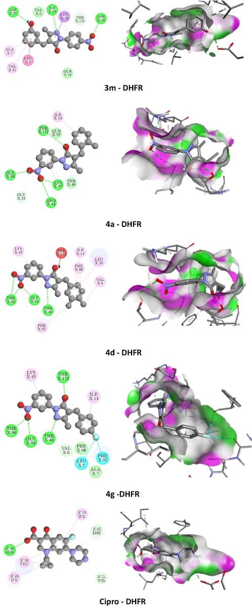 2D and 3D representation of the interaction of the synthesized molecules 3 m, 4a, 4d, and 4 g and standard ciprofloxacin (Cipro) with dihydrofolate reductase (S. aureus).