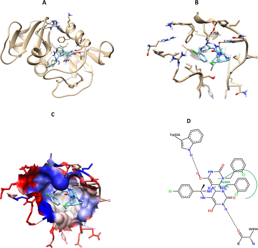 Compound 7 interaction with DHFR protein, A) 3D interaction, B) 3D hydrogen bond formation, C) Hydrophobic interaction (represented by blue color), D) 2D interaction, B) 3D hydrogen bond formation.