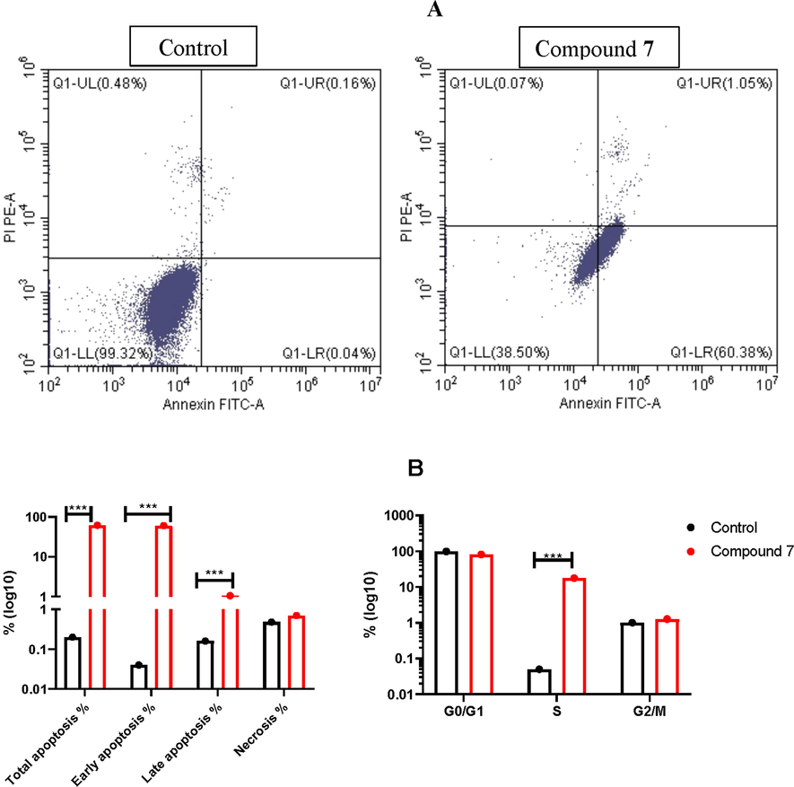 Flow cytometry assay for A549 treated with compound 7: A) Apoptosis detection using Annexin/PI staining, B) cell cycle analysis using PI staining for A549 cells treated with the IC50 value of compound 7 for 48 h.