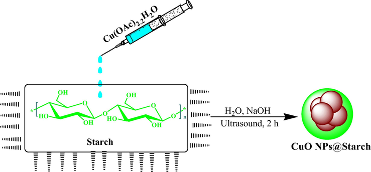 Synthesis of CuO NPs@Starch under ultrasound conditions.