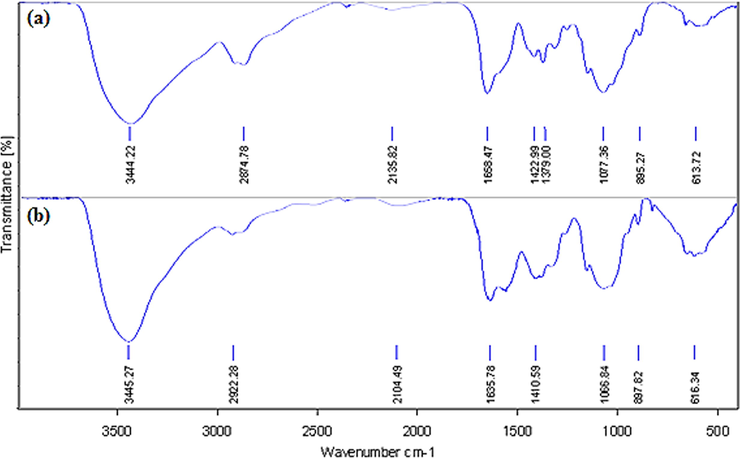 FT-IR analysis of starch (a) and CuO NPs@Starch nanocomposite (b).