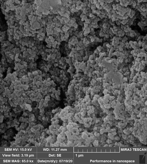 FE-SEM image of CuO NPs@Starch nanocomposite.