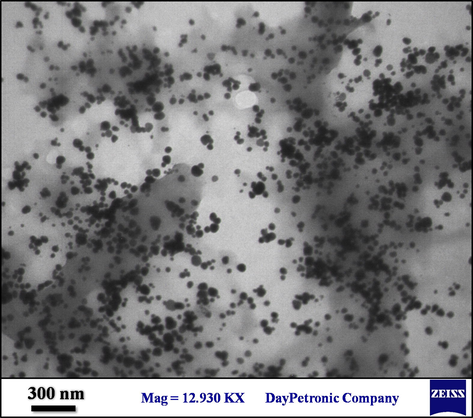 TEM image of CuO NPs@Starch nanocomposite.