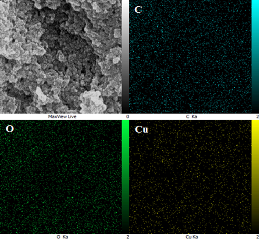 FE-SEM image of CuO NPs@Starch nanocomposite with its elemental mapping of C, O and Cu respectively.