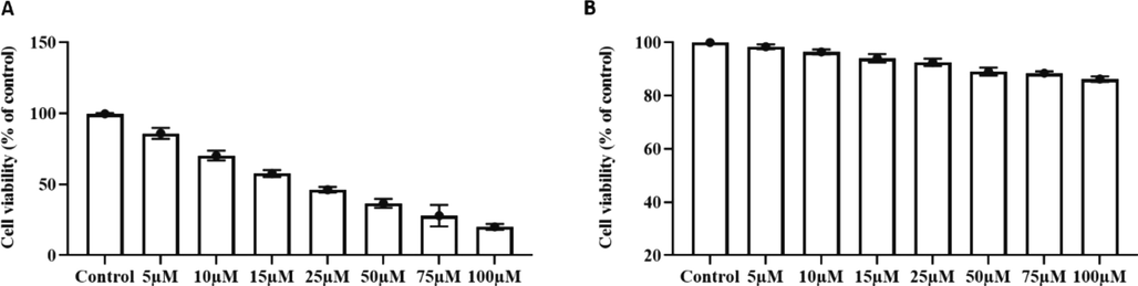 Cytotoxic potency of furanochrome visnagin. The cytotoxic potency of visnagin on carcinoma cells and normal epithelial cells were assessed with MTT assay. A – Human cervical carcinoma HeLa cells. B – Animal normal epithelial cells Vero cell line. Results were subjected to statistical analysis with One Way ANOVA followed by Student’s Newman Keuls test. The values does not share a common superscript and significantly differ at p < 0.05.