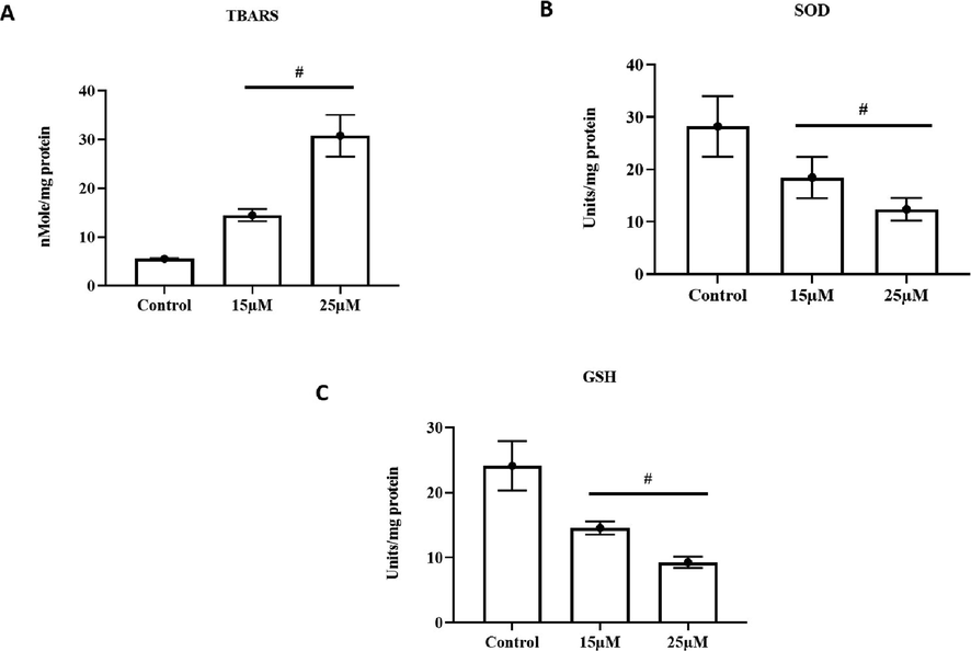 Effect of furanochrome visnagin on antioxidant system in HeLa cells. HeLa cells were treated with 15 µM and 25 µM visnagin for 24 h, assessed for A- Thiobarbituric acid reactive substances (TBARS), B- Enzymatic activity of superoxide dismutase (SOD), C- Level of non-enzymatic antioxidant glutathione (GSH). The assays were performed with commercially available colorimetric kits as per the manufacturer’s protocol. The results demonstrated that visnagin treatment effectively improved the TBARS content, decreased the SOD activity and GSH level in the HeLa cells. Results were subjected to statistical analysis with One Way ANOVA followed by Student’s Newman Keuls test. p < 0.05, statistically significant, respectively.