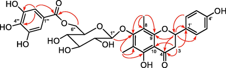 Key HMBC (plain arrows) correlations of compound 1.