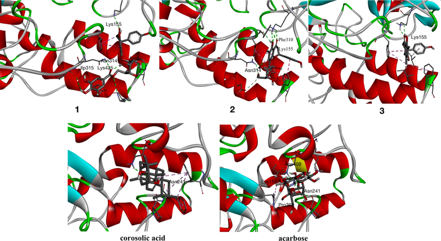 Compounds 1–3, corosolic acid and acarbose bind with α-glucosidase.