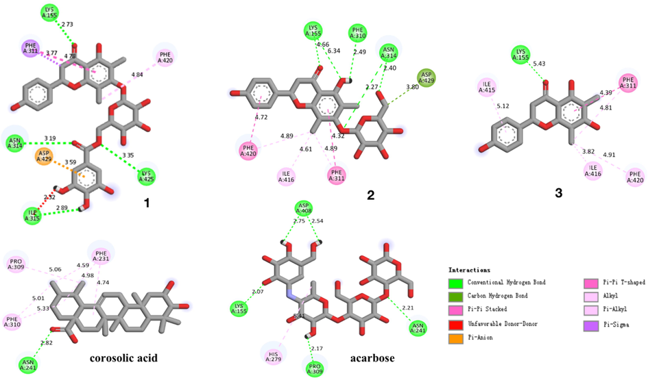 Interactions of compounds 1–3, corosolic acid and acarbose with α-glucosidase.