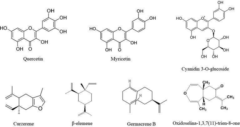 The chemical structures of the main bioactive compounds present in the constituents of pitangueira.
