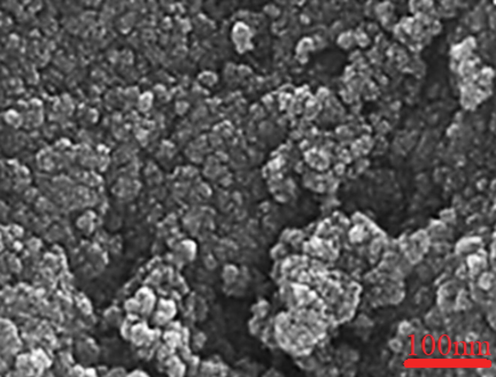 FE-SEM image of silver nanoparticles.