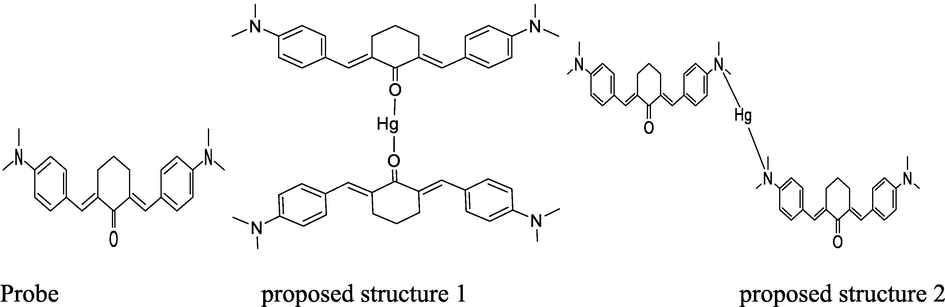 Proposed structures of probe and Hg2+-complex by up taking two folds of probe at optimized conditions of temperature and pH.