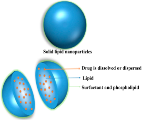General structure of solid lipid nanoparticle (SLN) loaded with drug (Mishra et al., 2018).