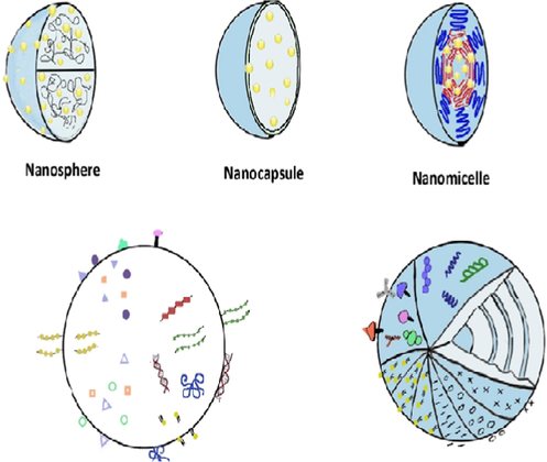 Structure of polymeric nanoparticle (Massadeh et al., 2016).