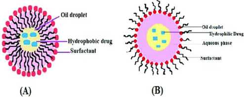 Structure of SNEEDS/nanoemulsion loaded with drug. {A} O/W Nanoemulsion and {B} W/O Nanoemulsion (Halnor et al., 2018).