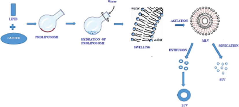 Mechanism of formation of Liposomes from Proliposome (Singh et al., 2019).
