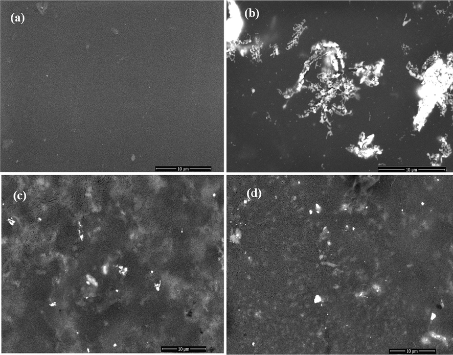 FE-SEM photos of Chitosan, Chitosan/Ginger, Chitosan/Curcumin and Chitosan/Cinnamon.