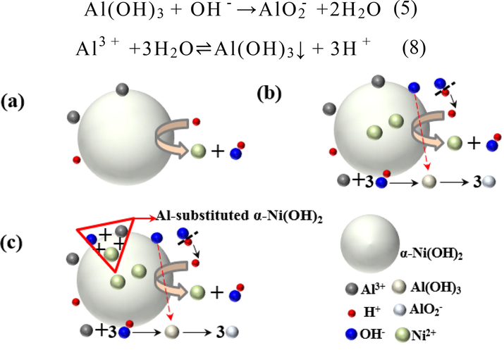 Schematic diagram for the chemical reaction in immersing process.