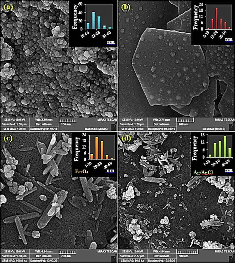 FE-SEM images of the as-synthesized bionanocomposites: Ag/AgCl (a), Ag/AgCl/Kaolinite (b), Ag/AgCl/Fe3O4/Kaolinite in two scales (c, d) with its size distribution histograms (insets) related to Fe3O4 nanorods (c) and Ag/AgCl nanoparticles (d).