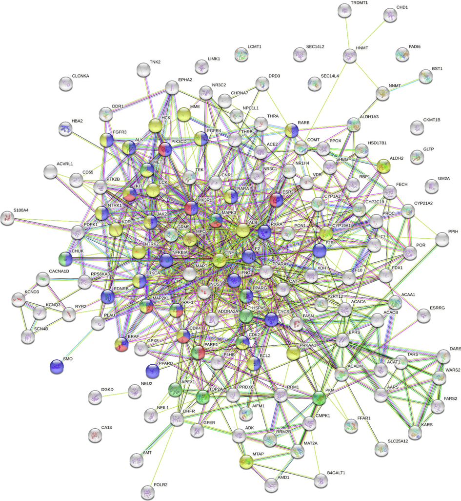 Protein-protein interaction (PPI) network of astragalin predicted targets. Nodes represent proteins obtained from astragalin targets prediction, while edges indicate interactions between proteins. Nodes related with cancer, pathways in cancer, breast cancer pathway, and cervical carcinoma cell were colored yellow, purple, red, and green, respectively.