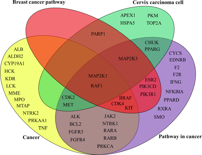 Venn diagram from PPI network. Gene names of proteins grouped by the enrichment functions selected in STRING. Proteins are possible targets of astragalin elucidated by inverse docking in ACID web server.
