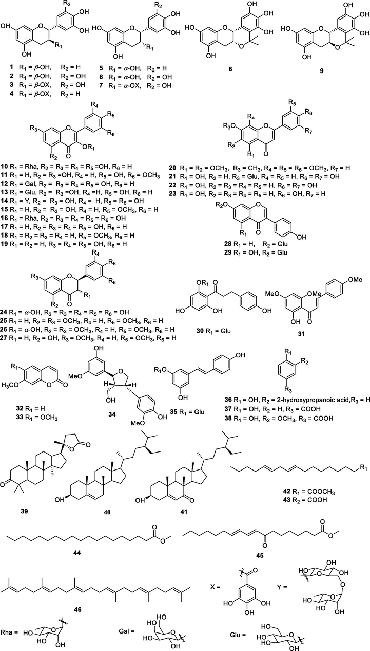 Chemical structures of isolated compounds.