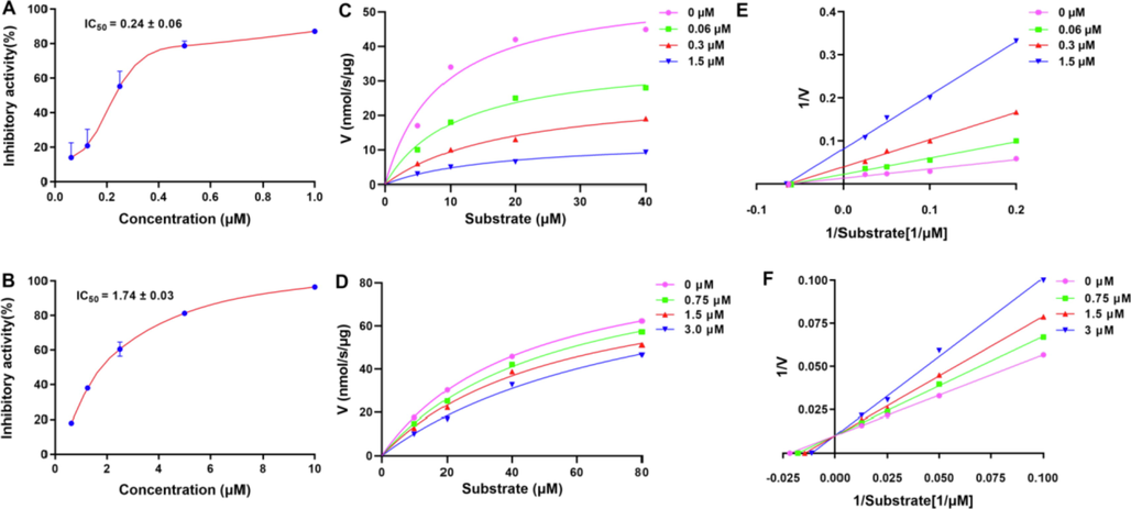 (A–B) Compounds 4 and 35 displayed concentration-dependent inhibitory activities against COX-2. (C–D) Michealis-Menten plots of compounds 4 and 35 against COX-2. (E-F) Lineweaver-Burk plots of compounds 4 and 35 against COX-2.