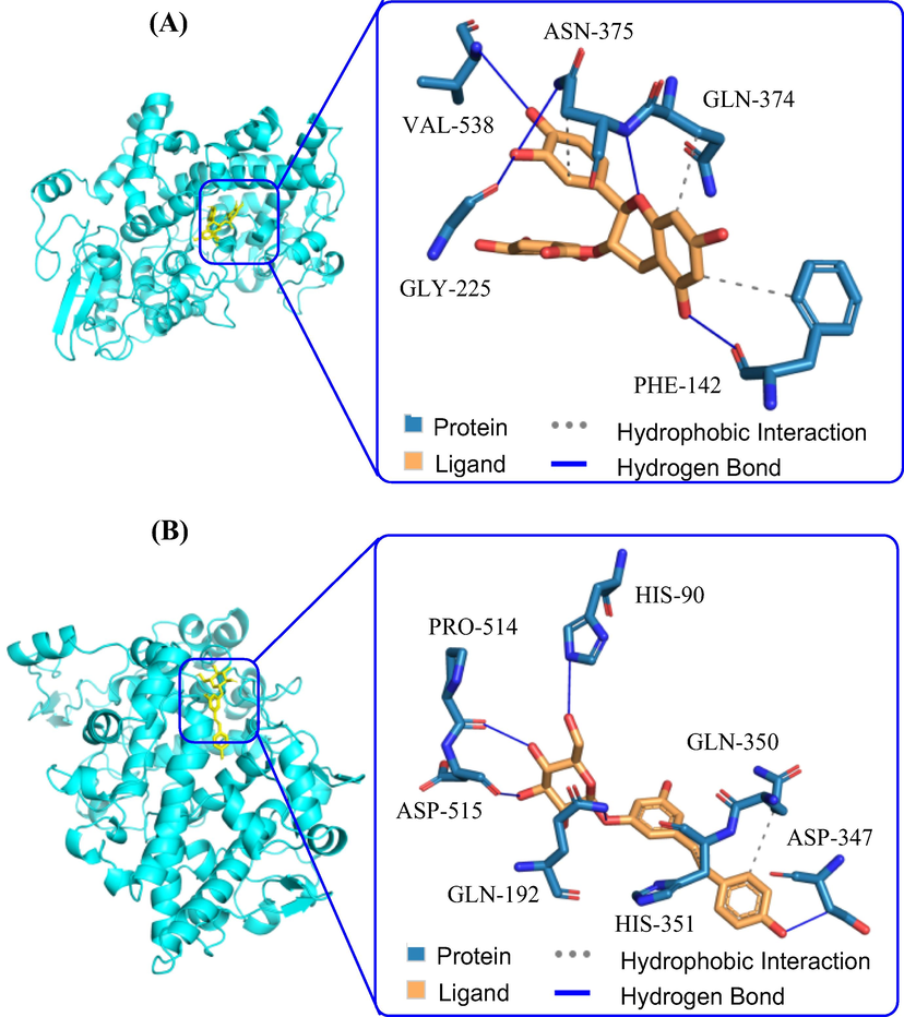 Binding pose of compounds 4 and 35 with COX-2. (A) The docking study between compound 4 and COX-2; (B) The docking study between compound 35 and COX-2.