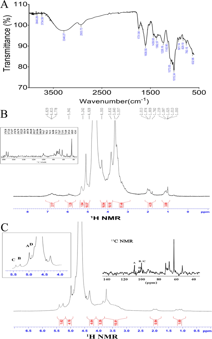 FT-IR spectrum in the 4000–400 cm−1 region of OPP (A). NMR spectra (1H NMR and 13C NMR) of OPP (B). NMR spectra (1H NMR and 13C NMR) of OPP-1 (C).