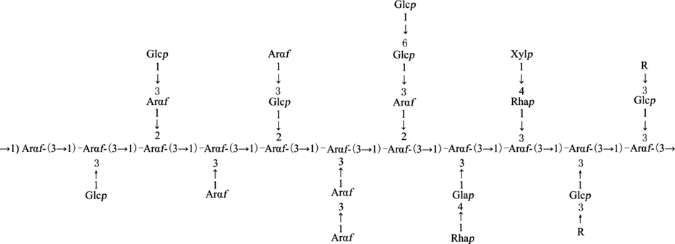 The structural composition of OPP. R may be 1,4-linked Xylp, 1,3,4-linked Xylp and 1,3,4-linked Galp.