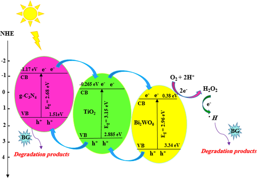 Proposed BG photodegradation mechanism using TiO2/g-C3N4/Bi2WO6 heterojunction under visible light irradiation.