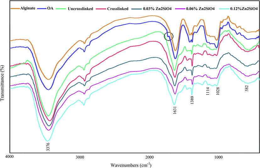 FTIR spectrum of alginate, oxidized alginate, and the hydrogels containing Zn2SiO4 NPs.