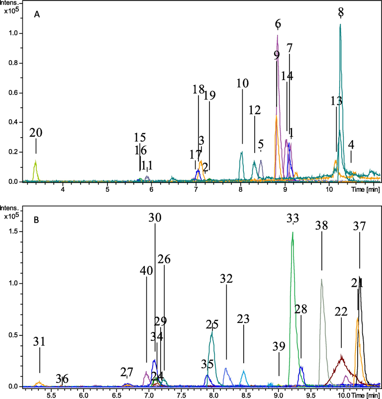 Extracted ion chromatogram of pool A and pool B.