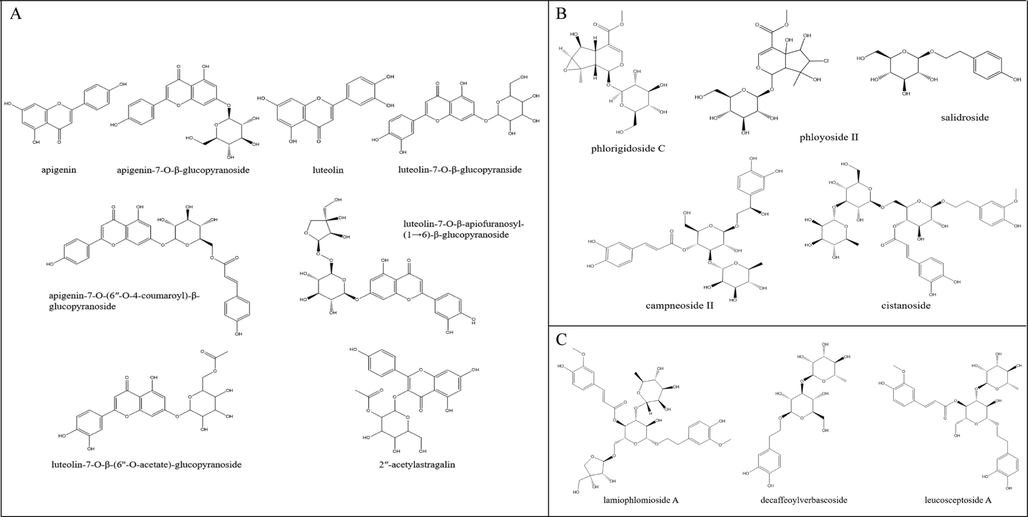 Chemical structures of 16 differential metabolites. Characteristic components (A); higher difference components in aerial parts (B); higher difference components in roots (C).