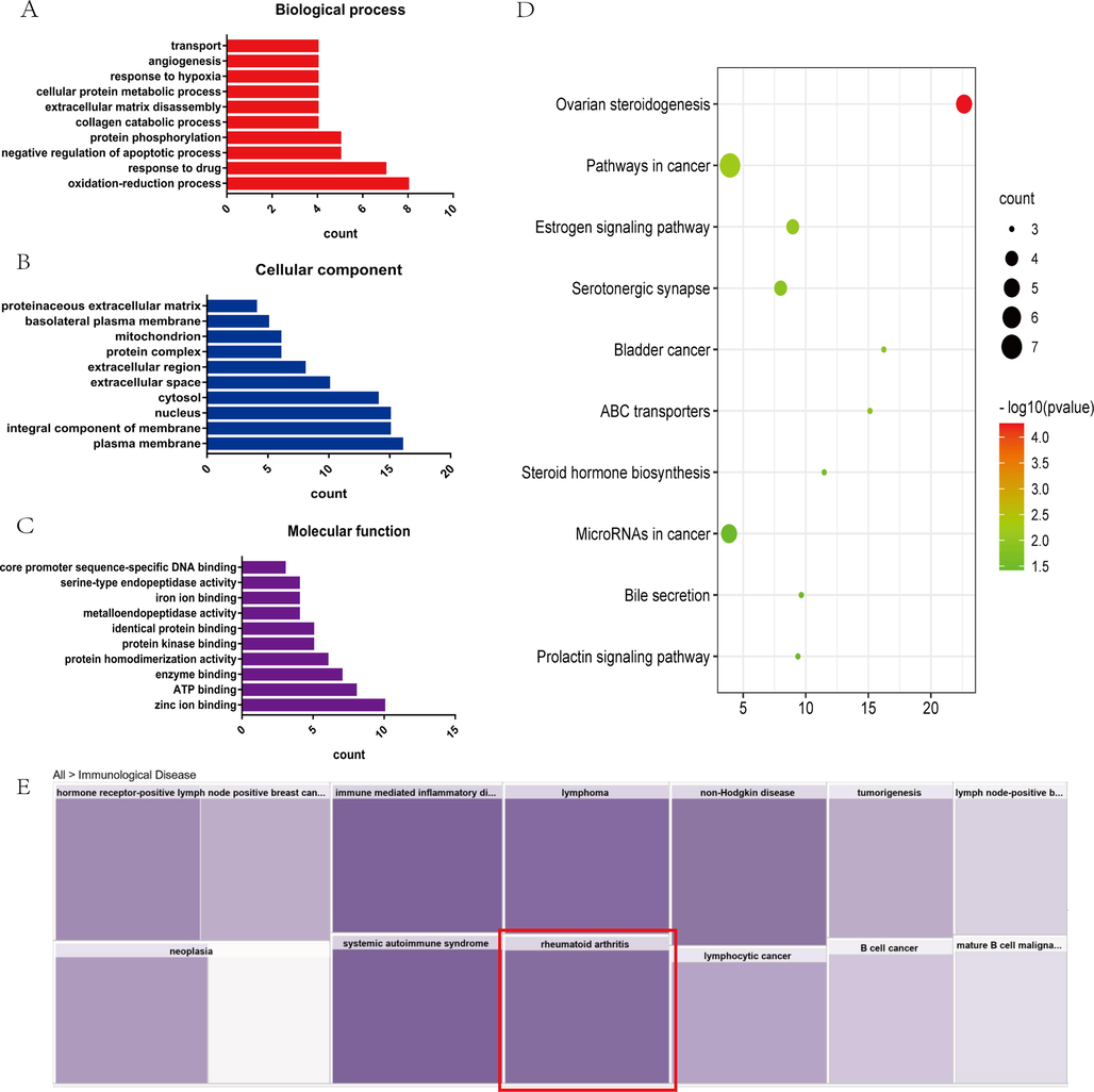 GO enrichment analysis and KEGG enrichment signal pathways. The result of GO analysis in biological processes (A); Enrichment in cellular component (B); Enriched result in molecular function (C); enrichment analysis of KEGG pathway (D); core analysis of predicted pathway (E).