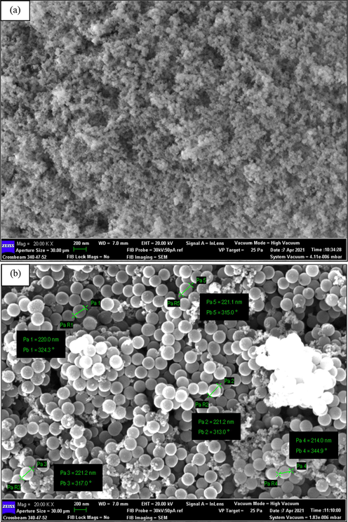 FESEM morphology of PEG–SiO2 NC (a) without SDS, and (b) with SDS.
