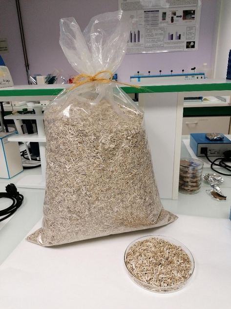 Chènevotte or raw hemp shives (SHI-R).