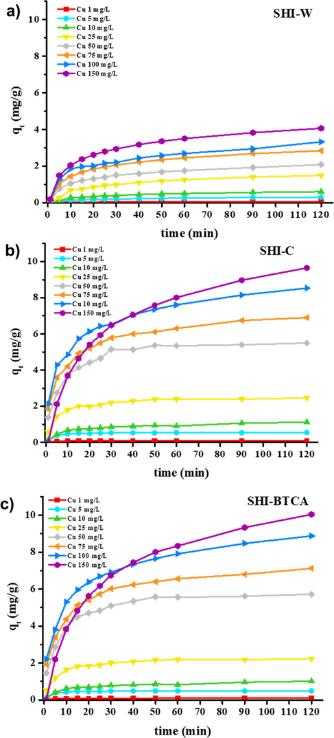 Kinetics of adsorption of copper ions by hemp shives from an aqueous solutions containing different initial metal concentrations (other conditions: adsorbent dose 1 g; volume of solution 100 mL; agitation speed 250 rpm; temperature 22 ± 1 °C; n = 3).